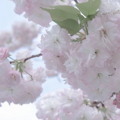 襄垣FurryQQ群介绍